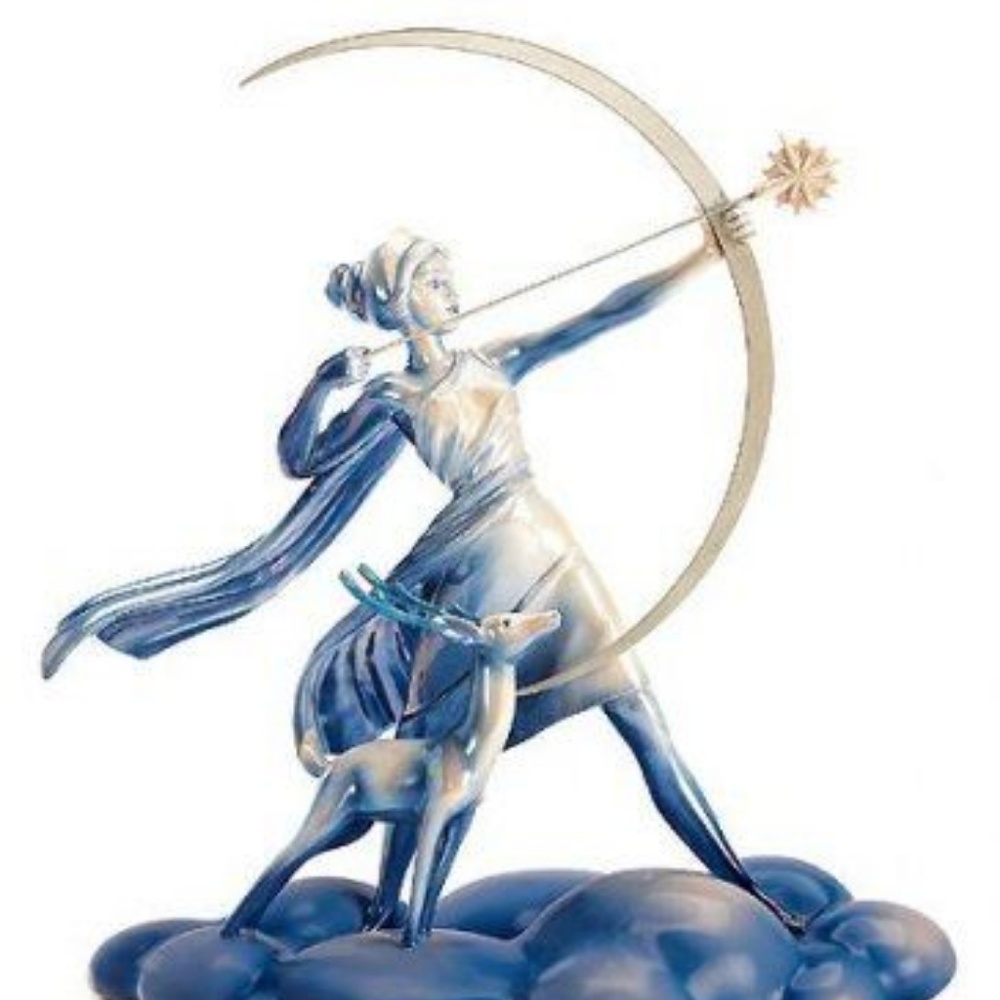 Meet your Posher, DIANA